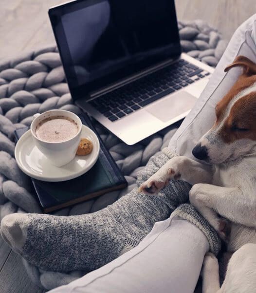 A person laying on a couch with a dog and a laptop