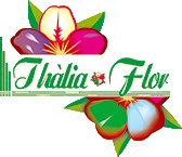 logo Thalia Flor