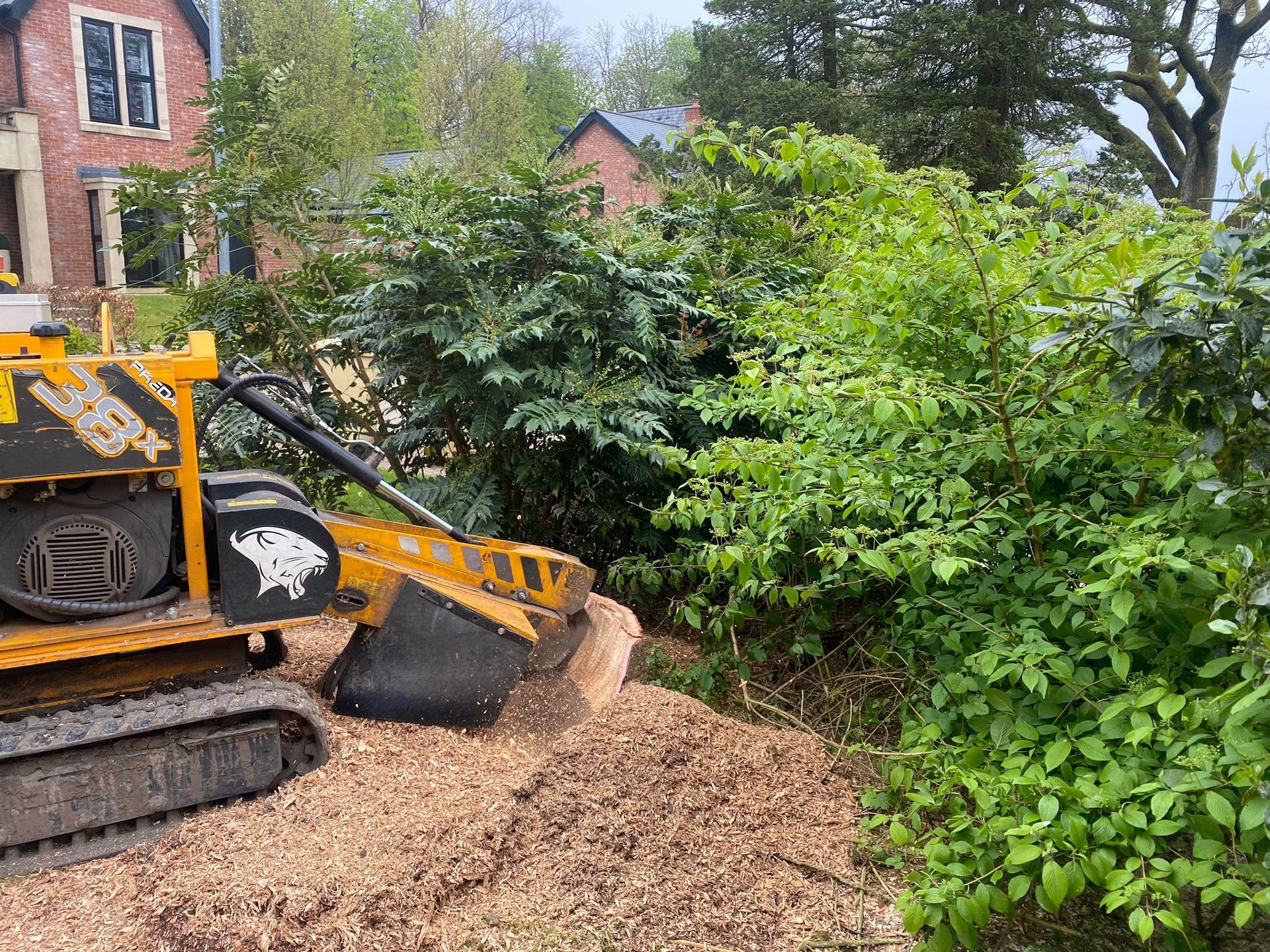 Hedge Stump Removal Manchester