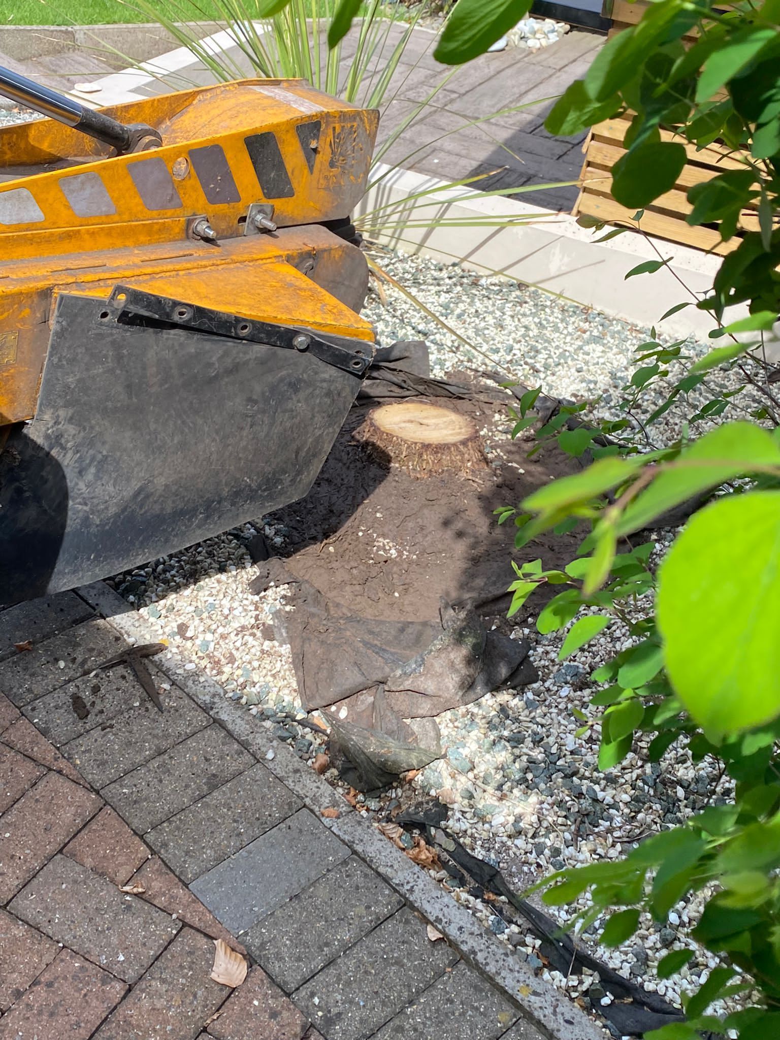 Stump grinding Manchester