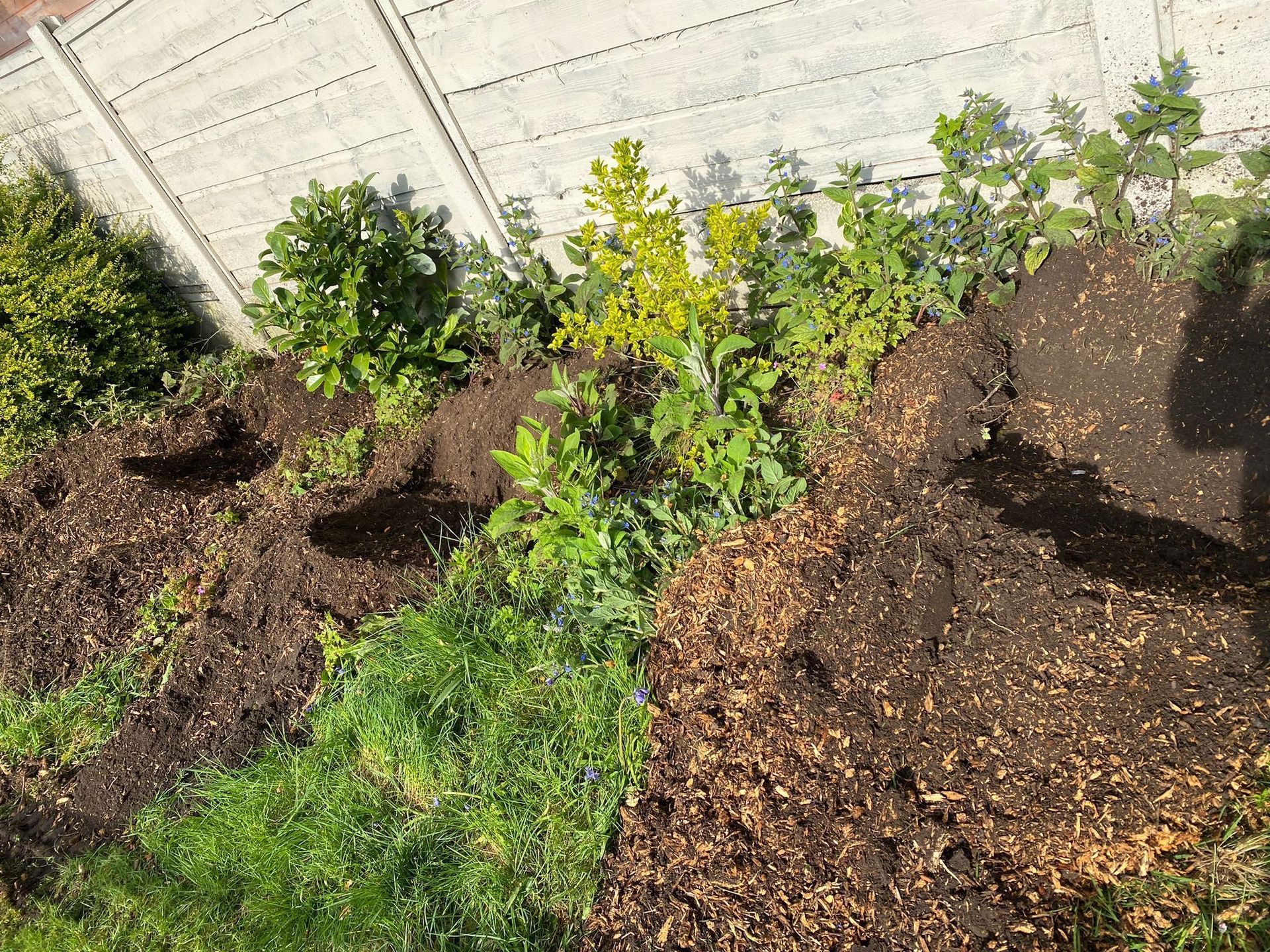 Root Removal Manchester