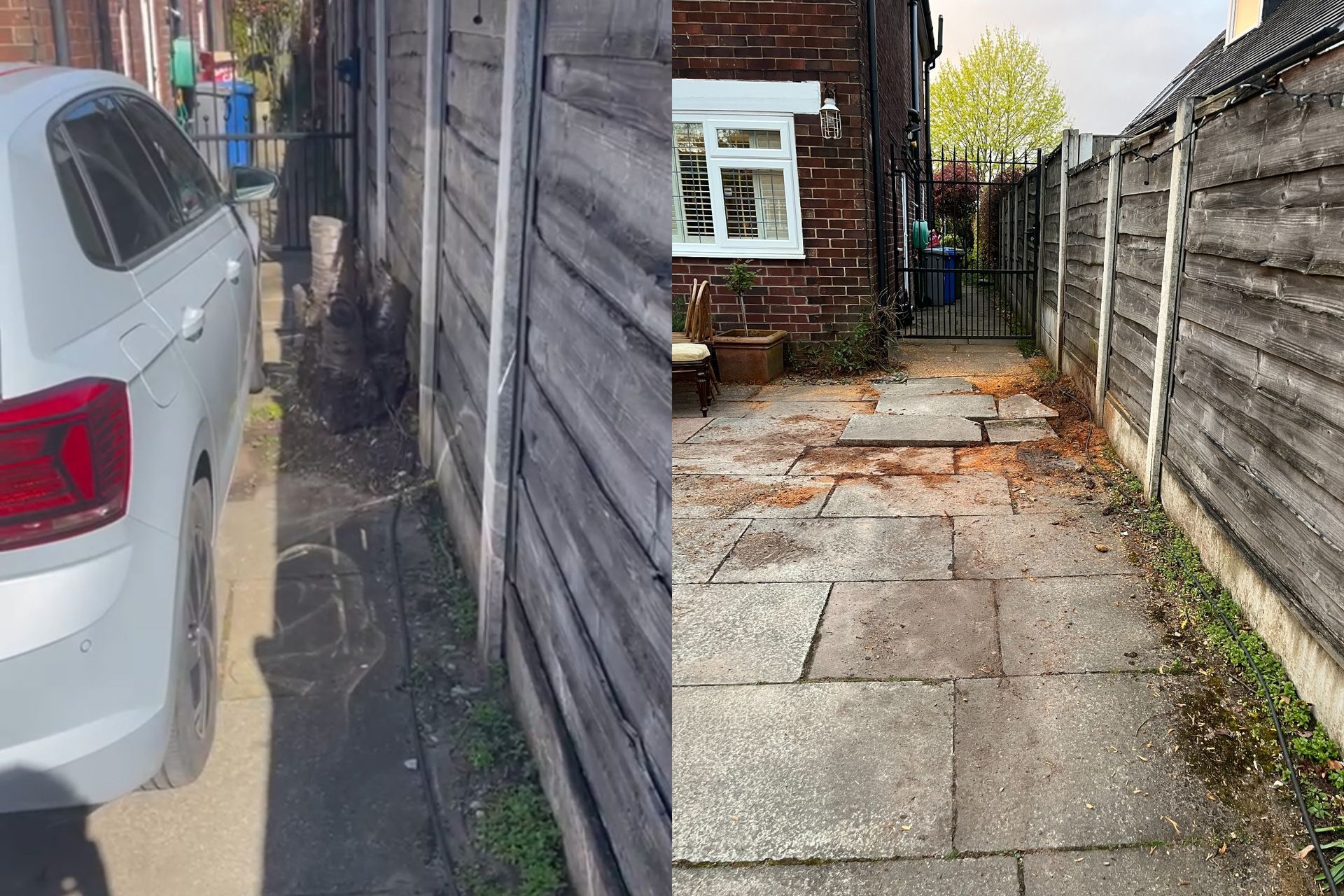 Tree stump removal Sale Manchester
