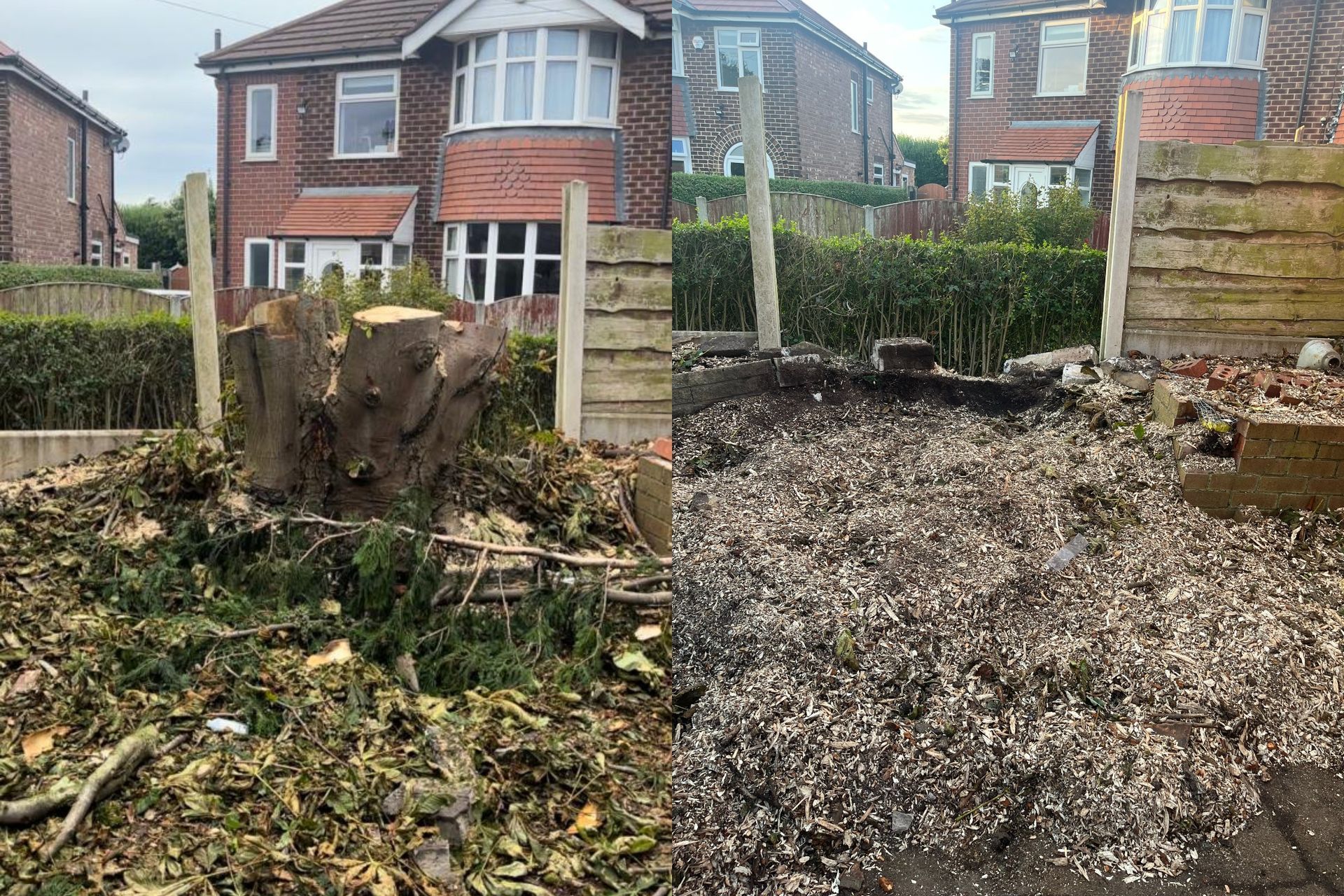 Tree stump removal Sale Moor Manchester