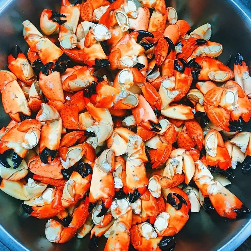 Bowl of cooked stone crab claws, orange and black. At High Tide Harry's