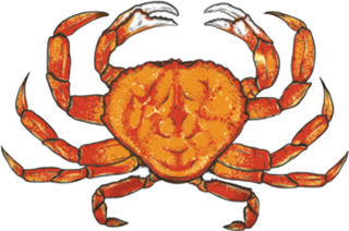 Orange Dungeness crab with extended claws and legs on a white background.
