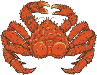 Orange, spiky King crab with large claws and eyes.