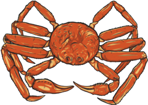 Red snow crab with long legs and claws, viewed from above.