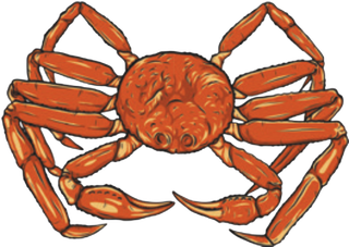 Red snow crab with long legs and claws, viewed from above.