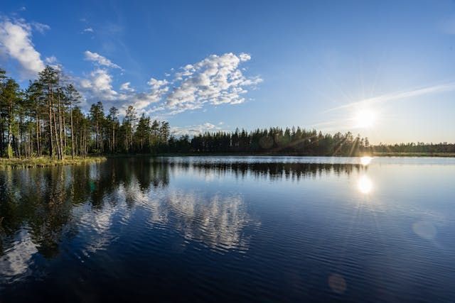 Roanoke, VA cremations
