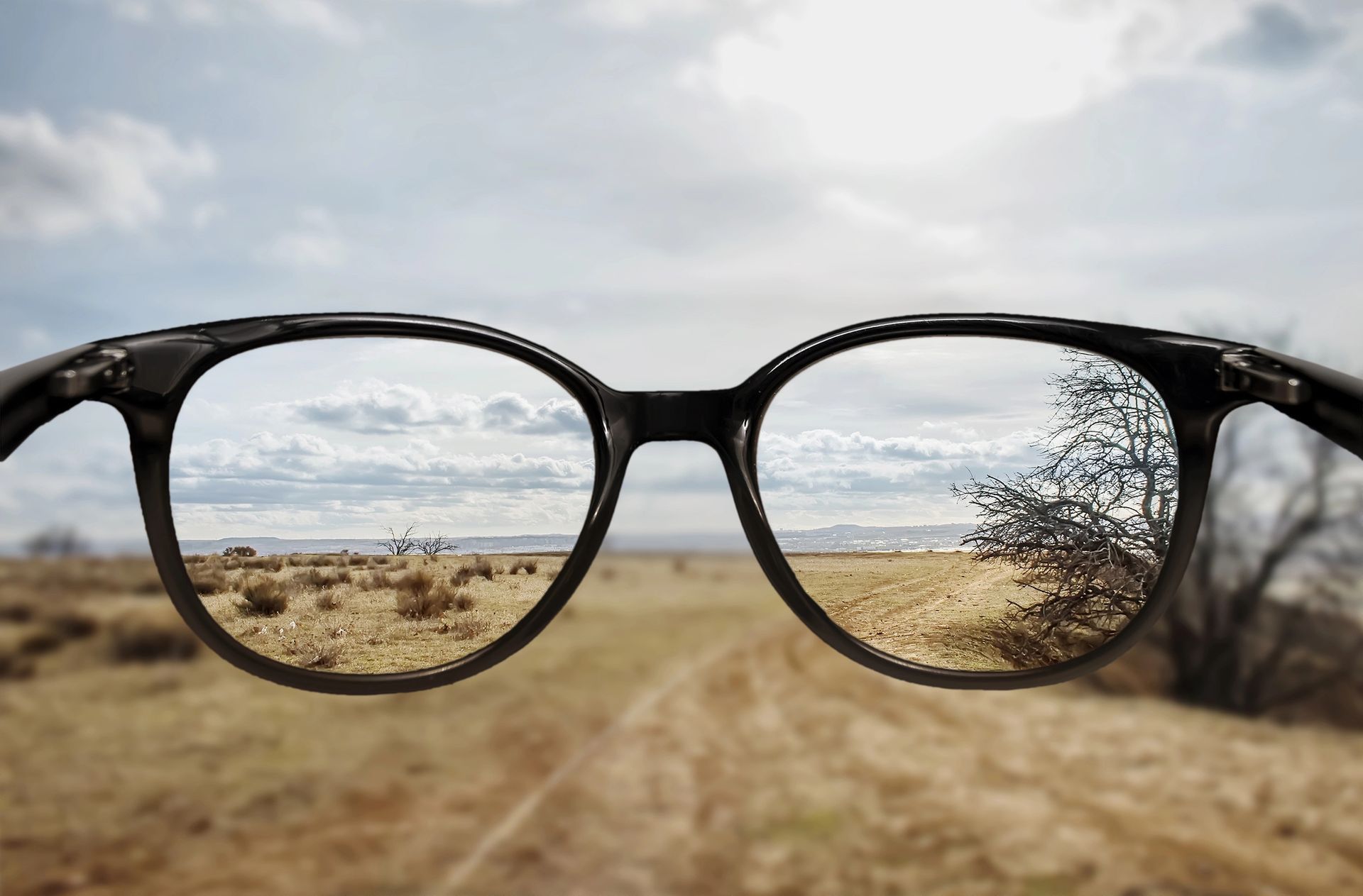 A pair of glasses looking out over a field.