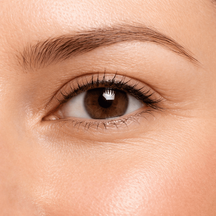 A close-up view of a human eye with a brown iris, defined eyelashes, and a well-groomed eyebrow.