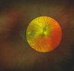 A close up of a person 's eye with a rainbow of colors.