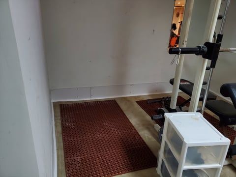 A room with a gym equipment and a rug on the floor.