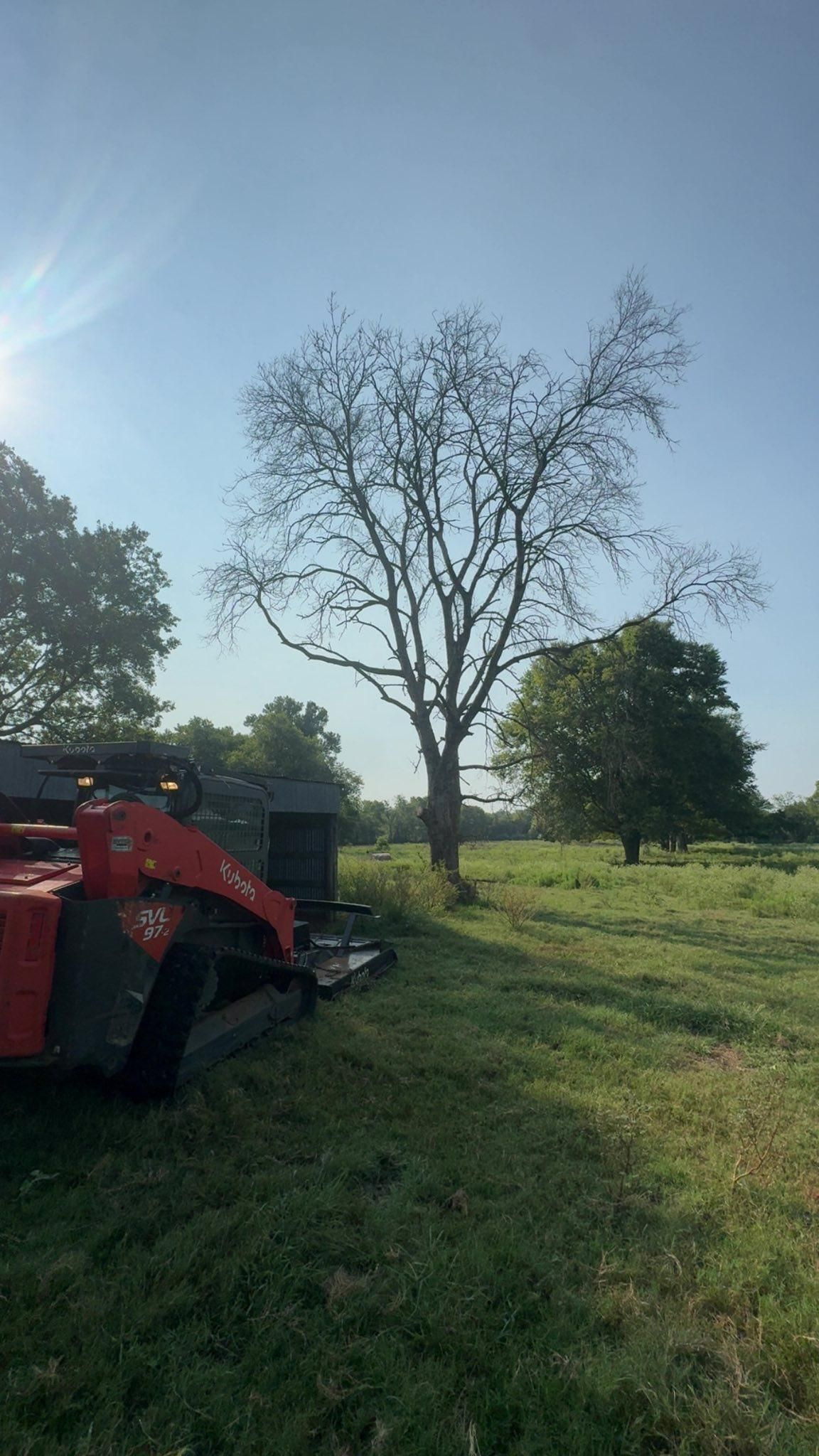Red tractor mowing grass near a tree in a field, under a sunny blue sky.