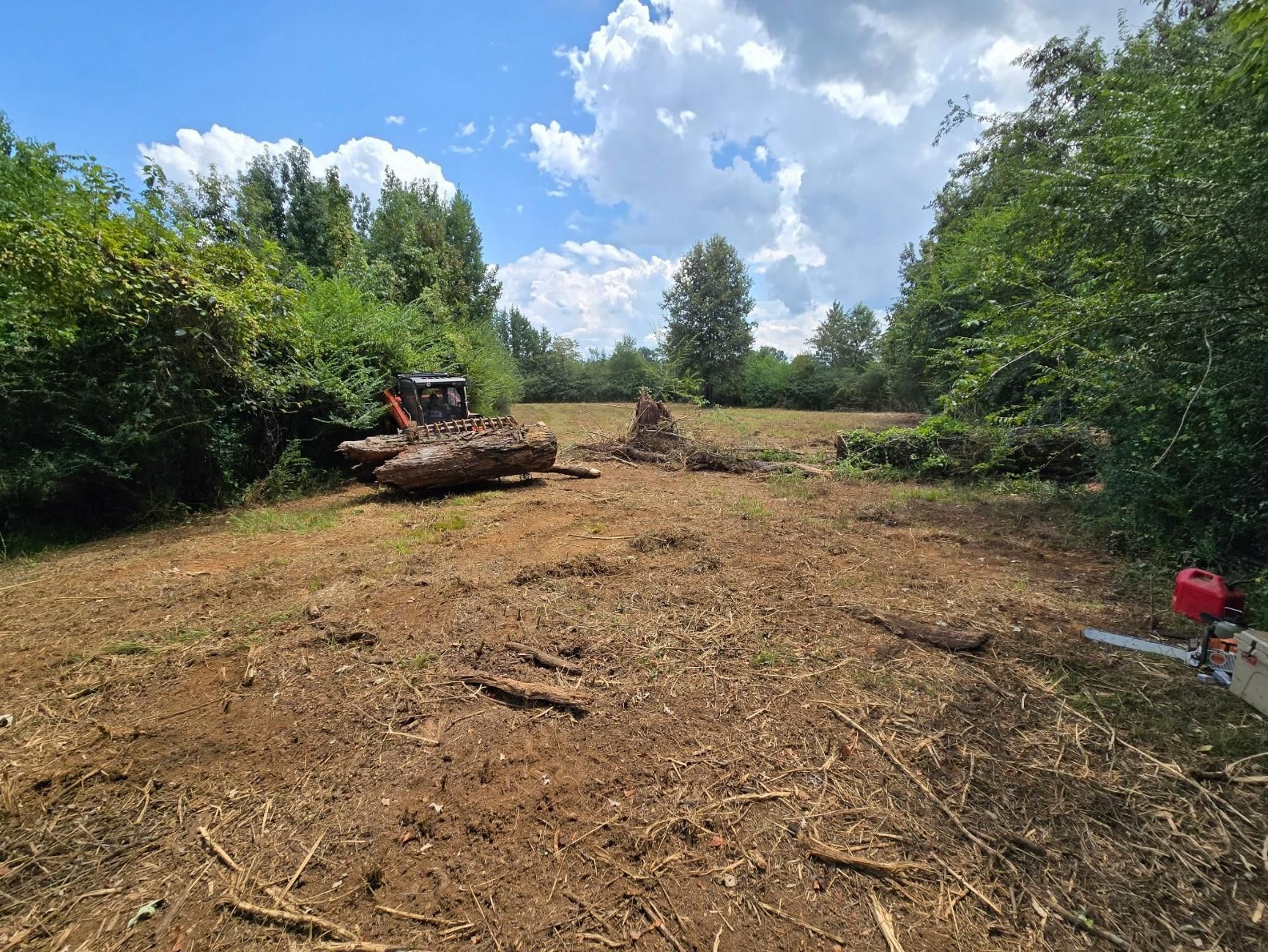 Clearing of a wooded area. Brown soil, logs, debris. Trees and blue sky with clouds in background.