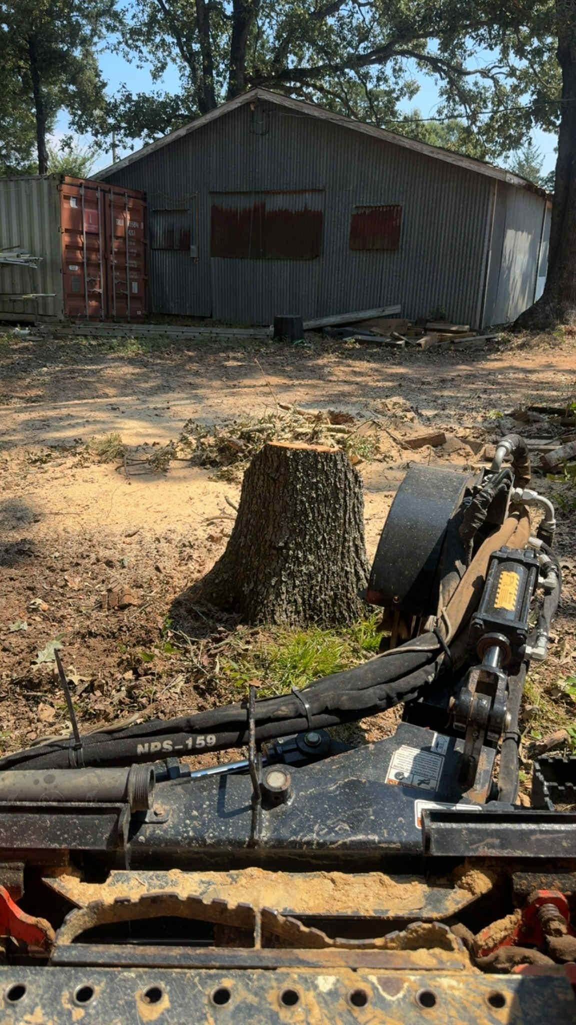 A stump grinder working near a shed in a wooded area. The shed is gray and has rusty windows.