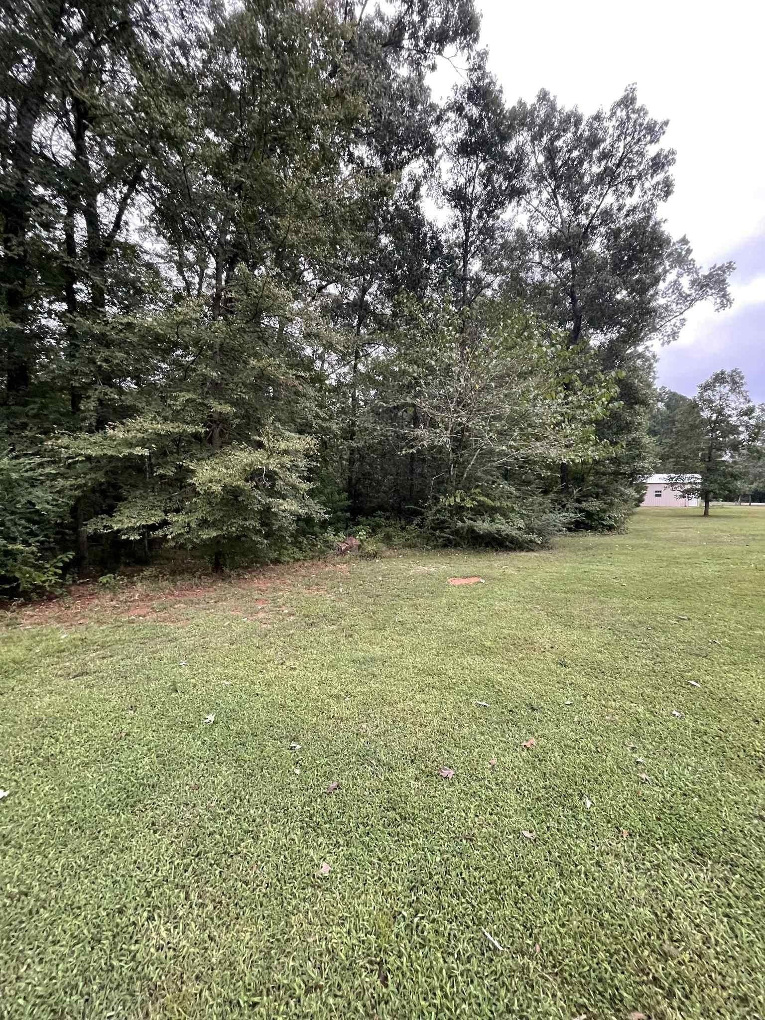 Grassy field with trees in the background, a small white building visible on the right. Overcast.