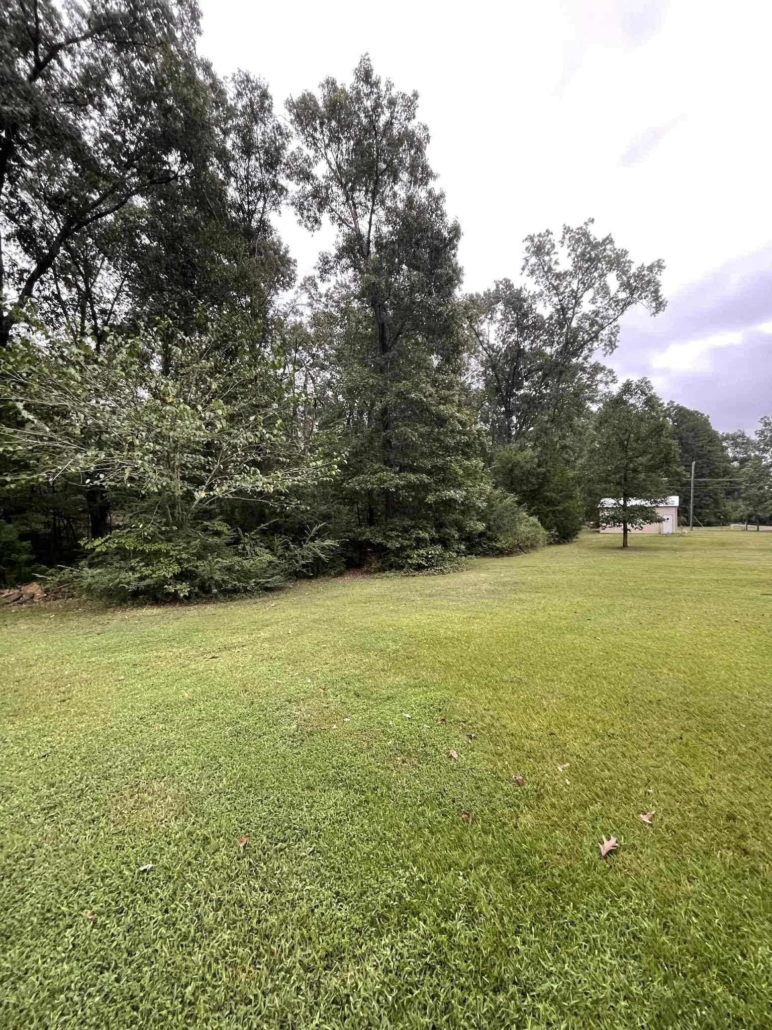 Green lawn and trees in a cloudy setting with a building in the distance.