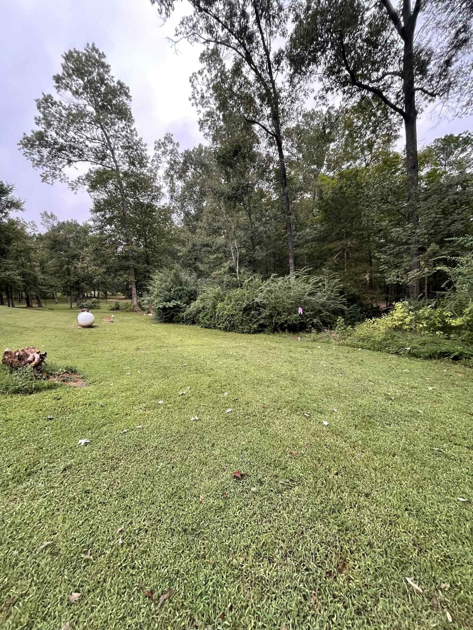 Lush green lawn with trees in the background under a cloudy sky.