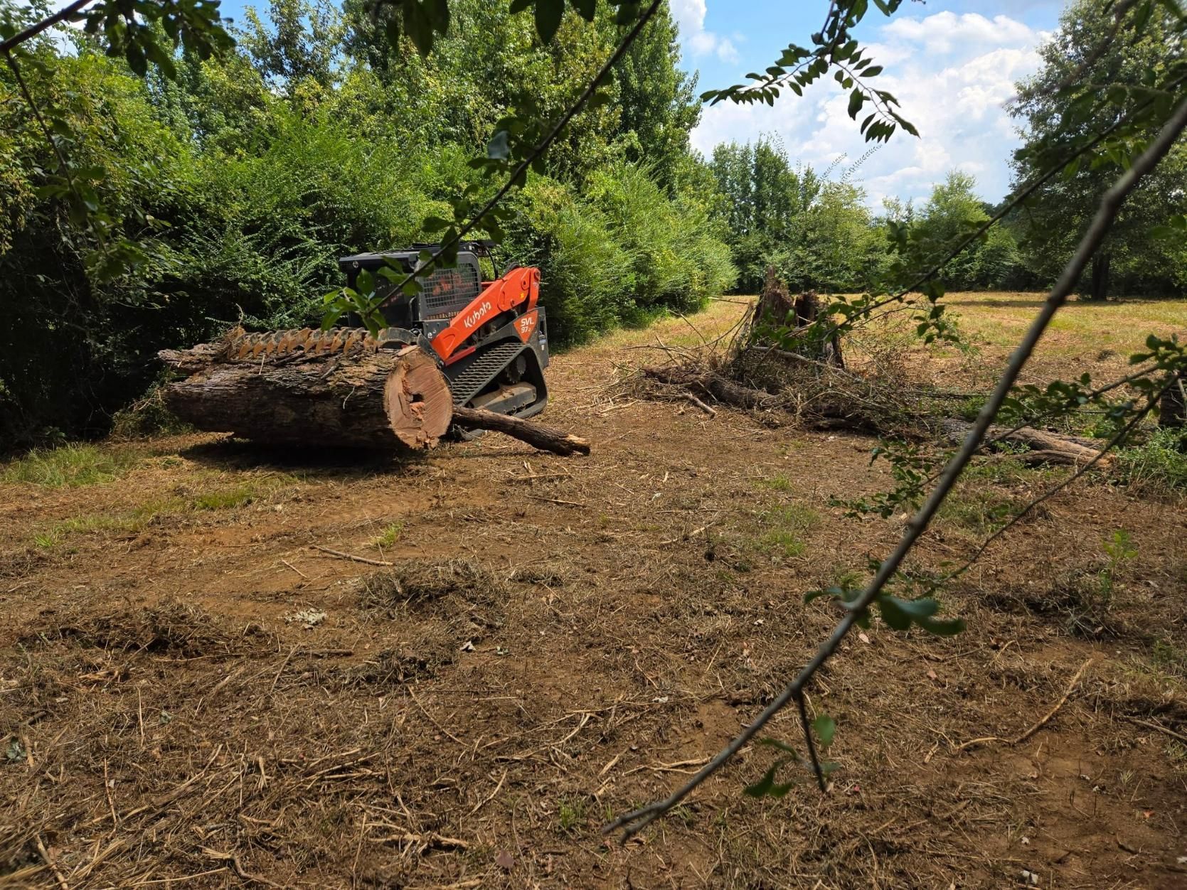 Orange tractor and large log on cleared land next to green trees on a sunny day.