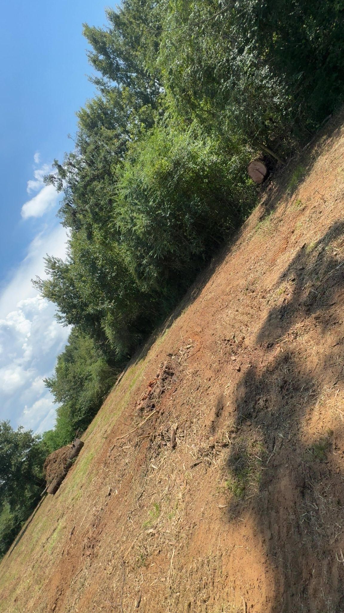 Sloped dirt path along a tree line under a blue sky with clouds.