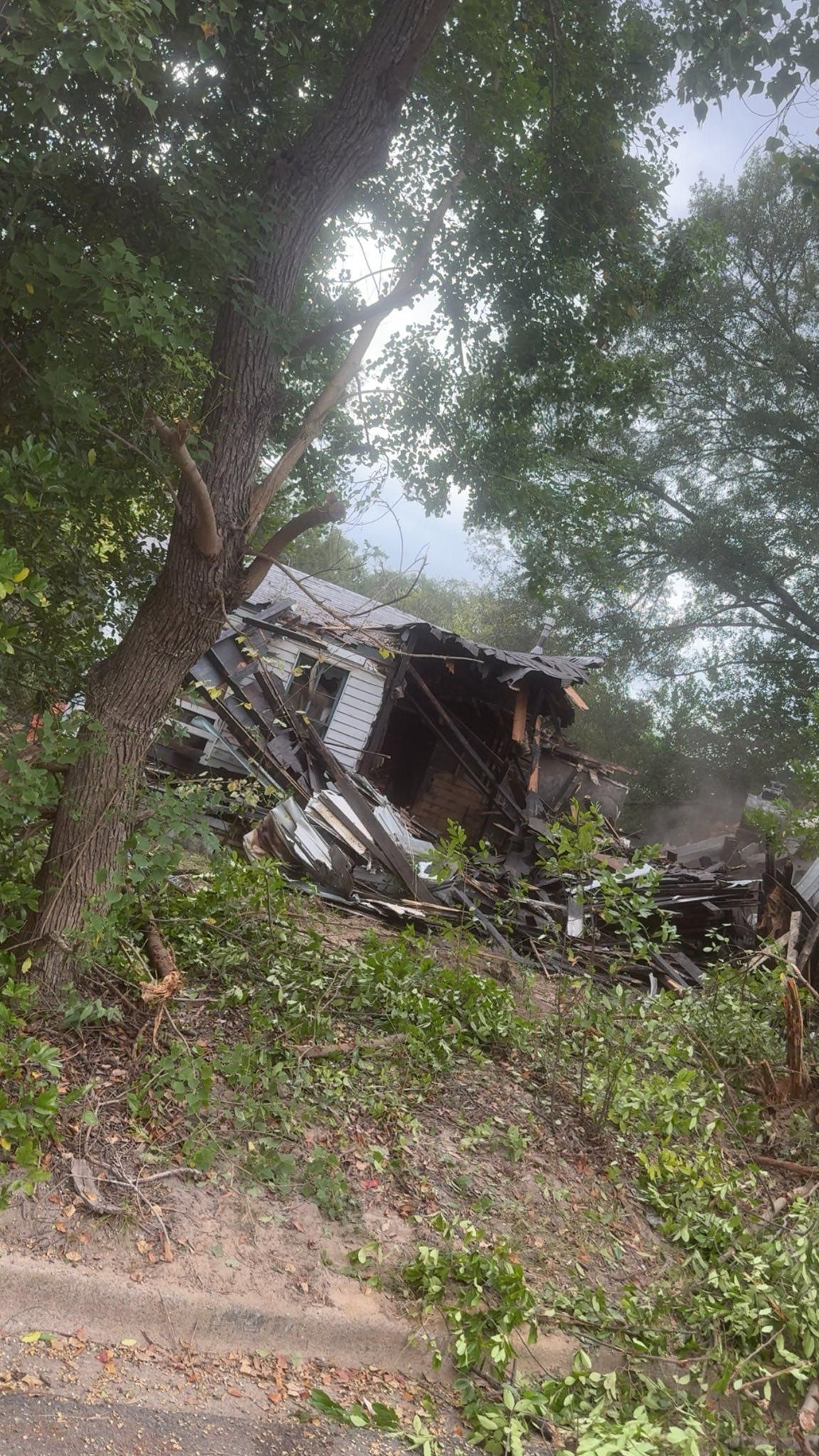 Collapsed and charred building among trees, possibly due to fire.