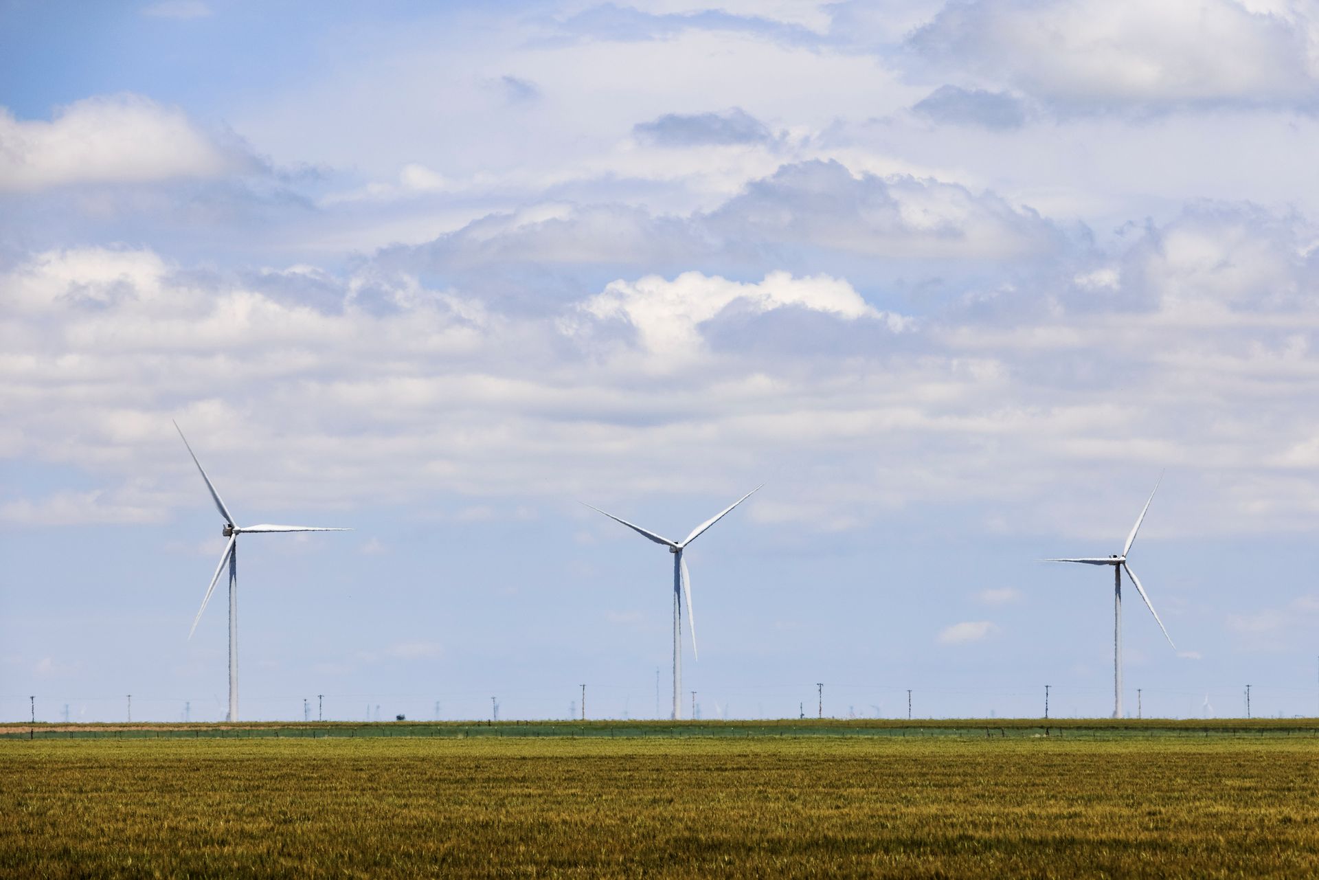 A row of wind turbines are sitting in the middle of a grassy field.