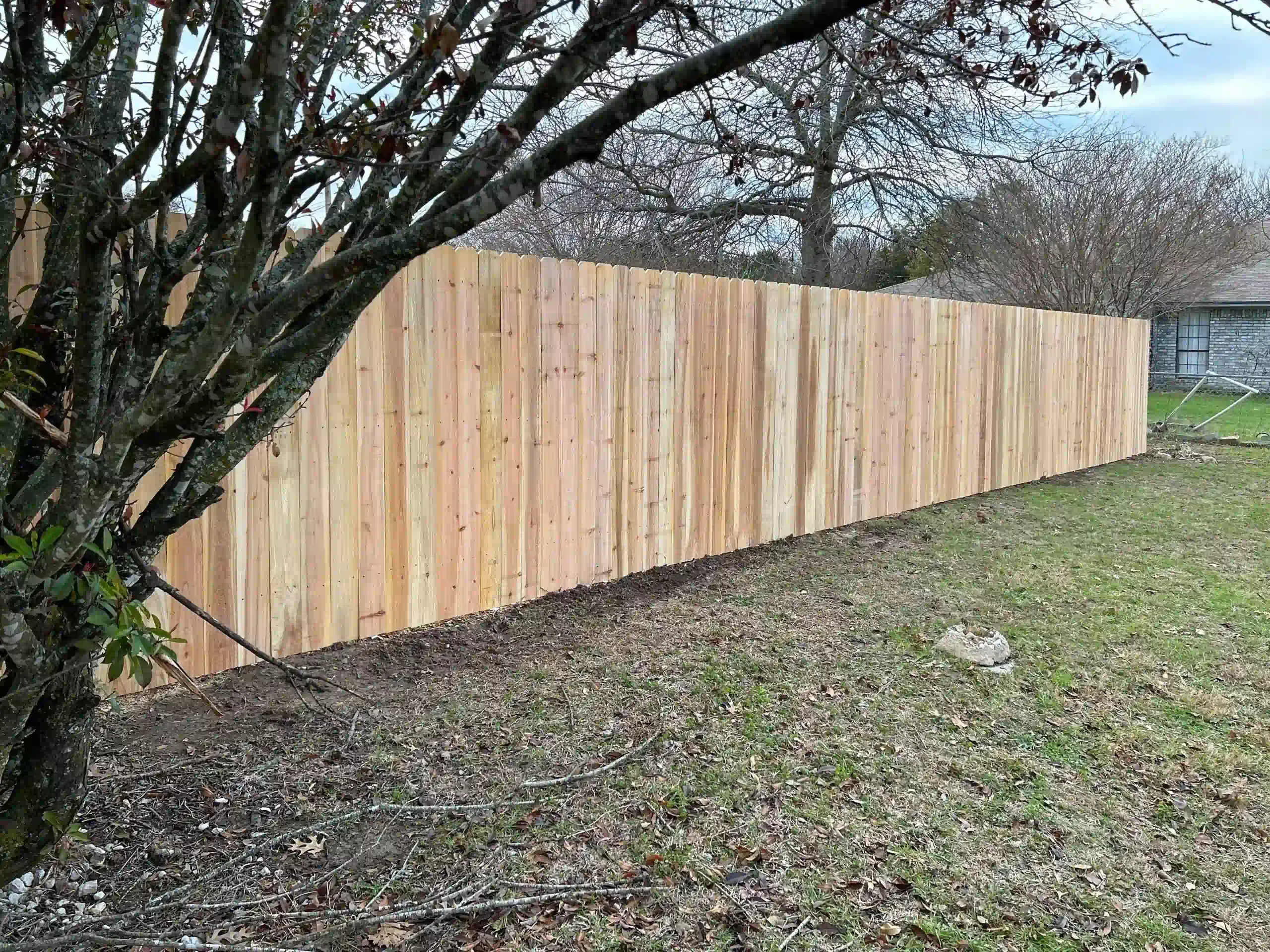 Wooden fence in a grassy yard, with a tree in the foreground.