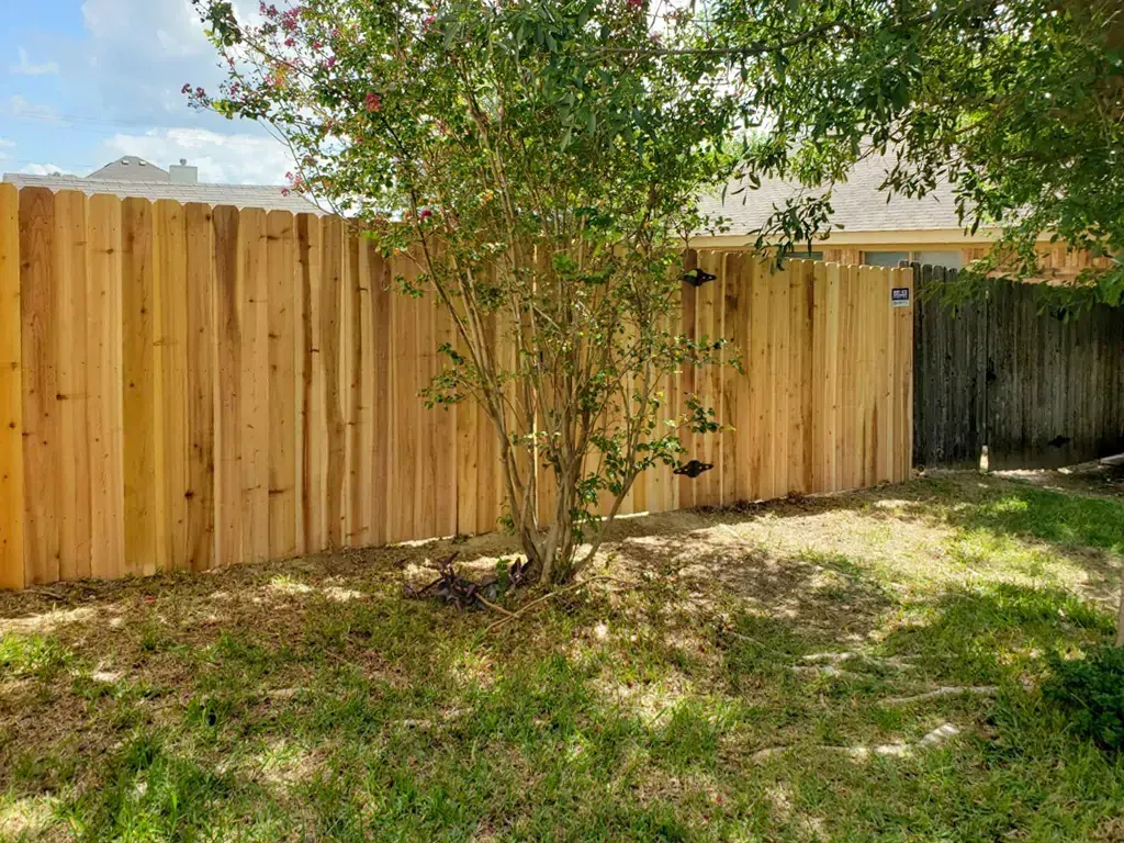 Wooden fence in a grassy backyard with a tree in front. Sunny day.
