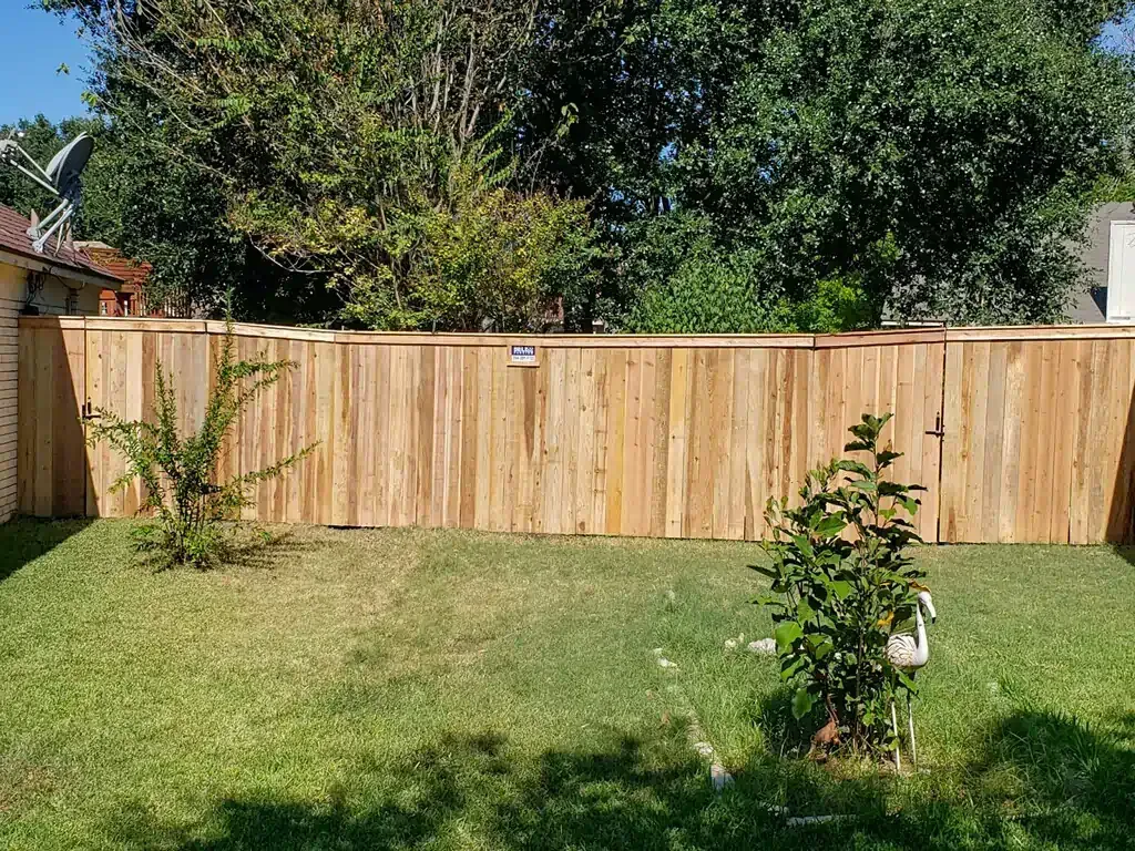 Wooden fence in a backyard with green grass and small bushes.