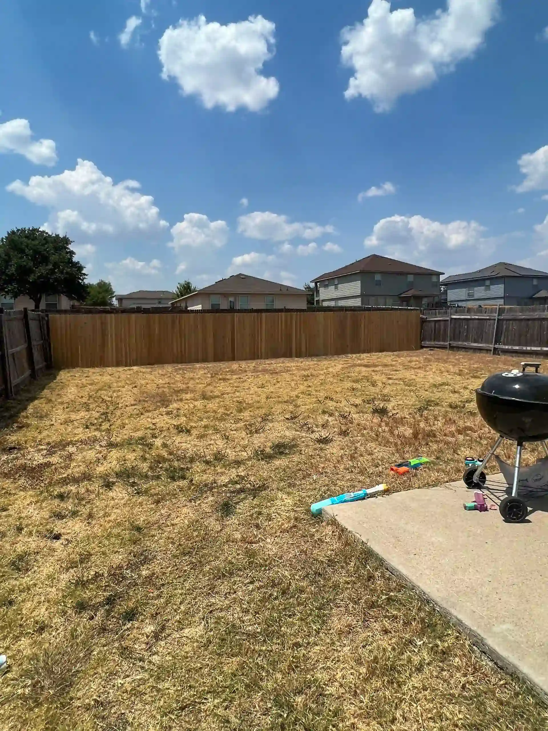 Backyard with dead grass, wooden fence, houses in background, blue sky with clouds.