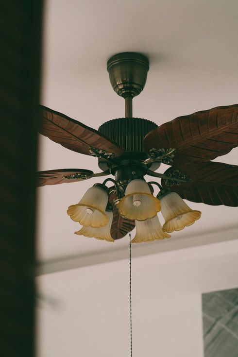 Ceiling fan with dark wooden blades and four frosted glass light shades on a white ceiling.
