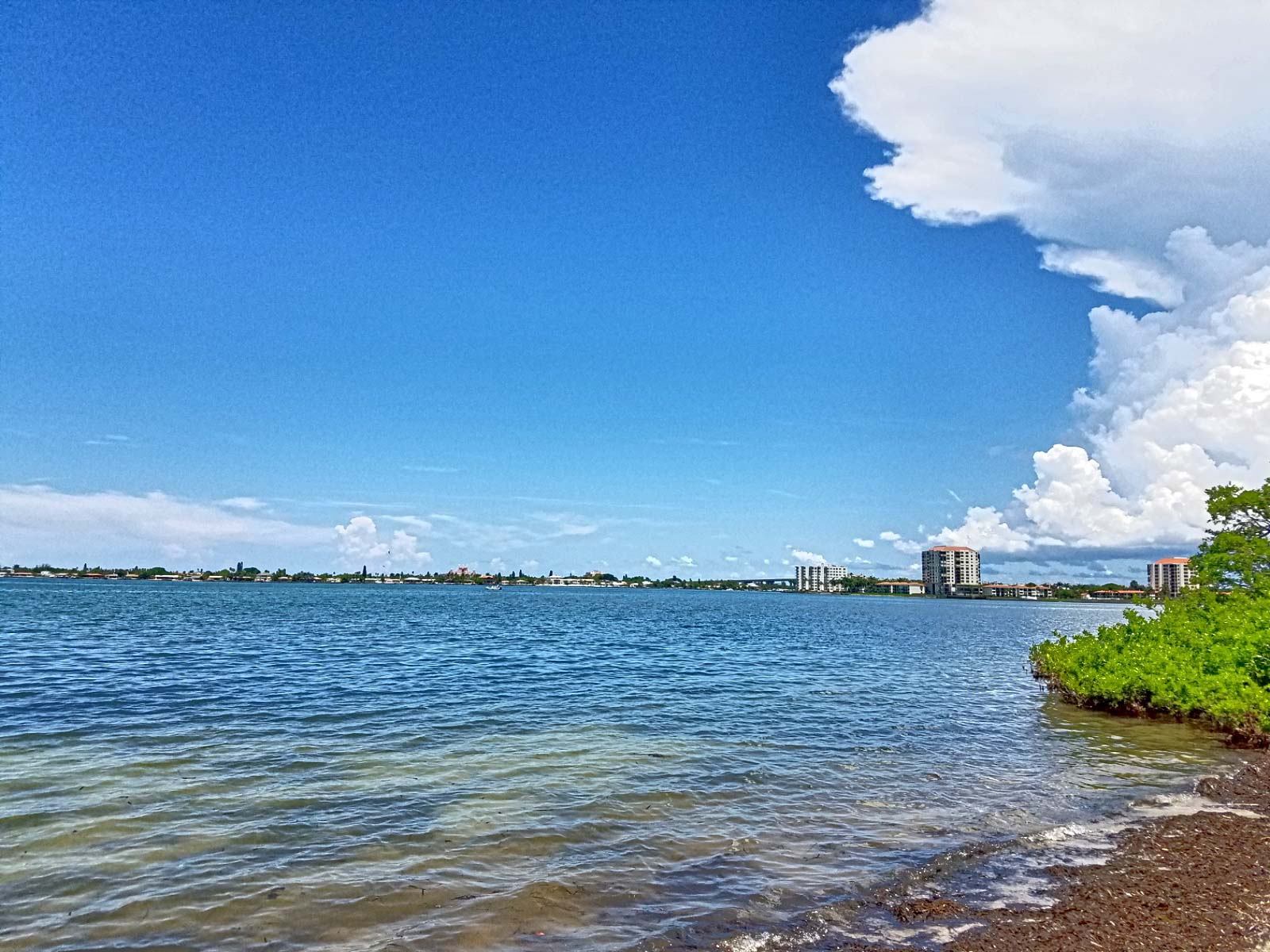 The ocean near Tierra Verde, FL