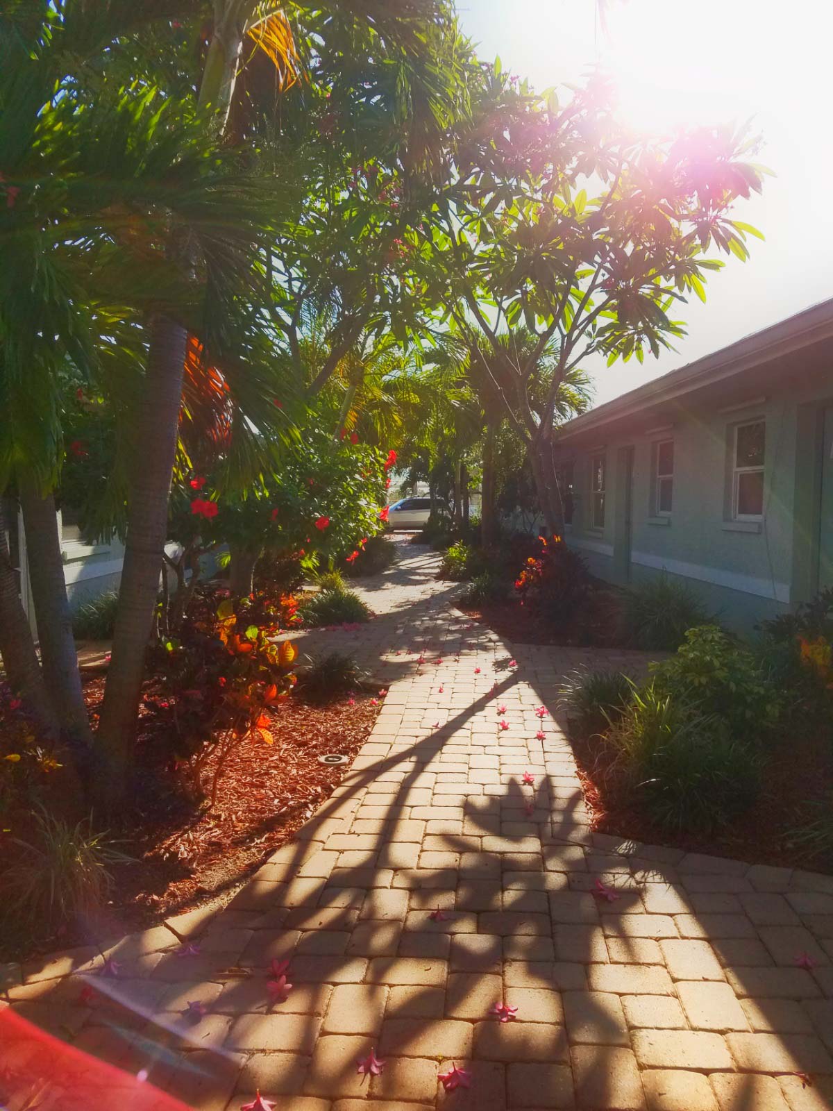 Exterior of a community in Tierra Verde, FL