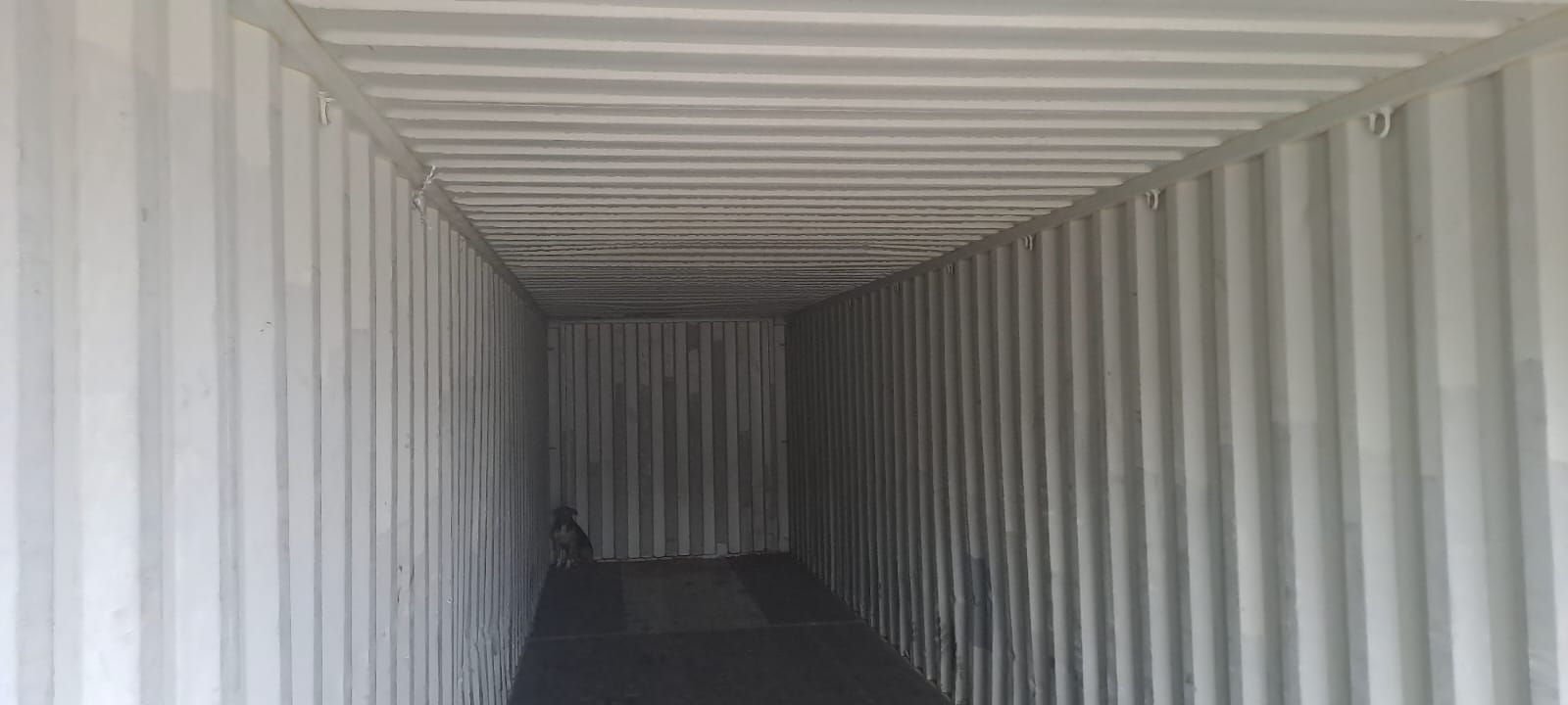 Interior de un contenedor de envío con paredes y techo de cartón corrugado blanco.