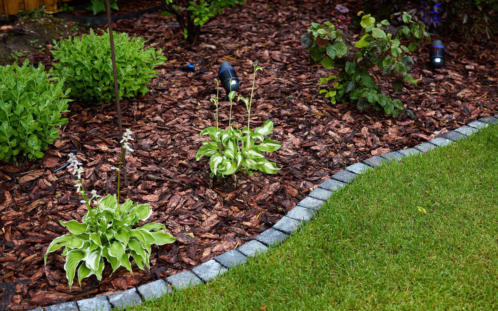 Garden bed with plants and mulch, bordered by stones and grass.
