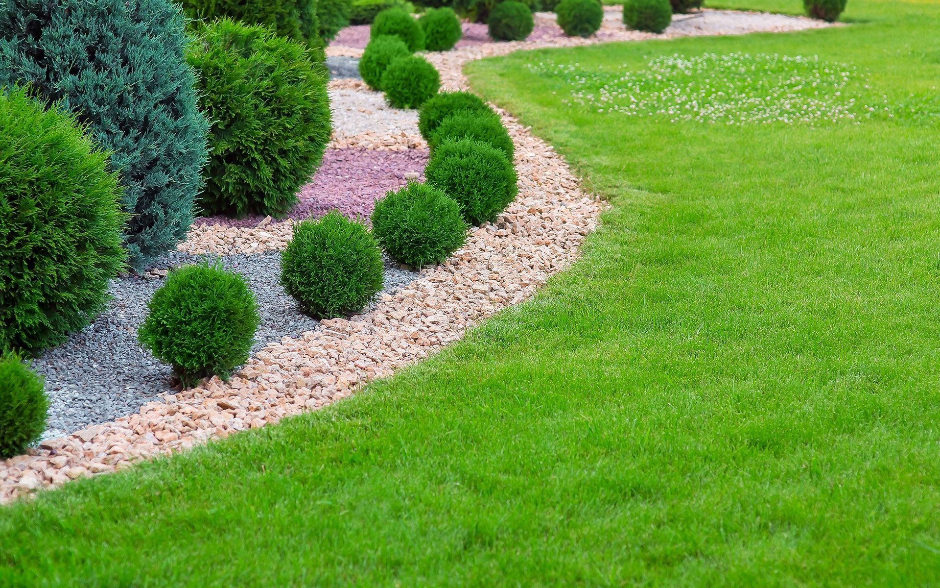 A lush, green lawn bordered by a curved bed of gravel and neatly trimmed, round shrubs.
