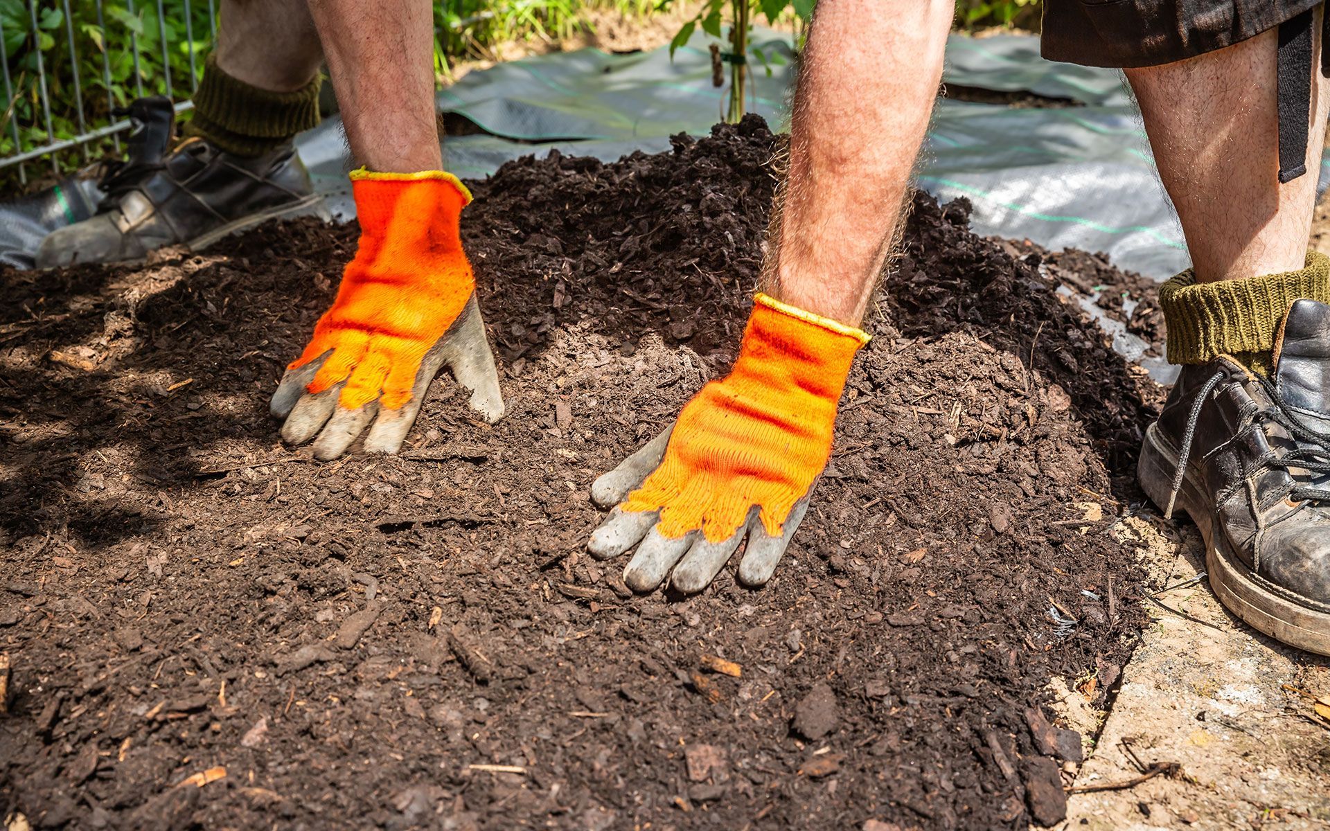 Person wearing orange gloves spreading soil in a garden.