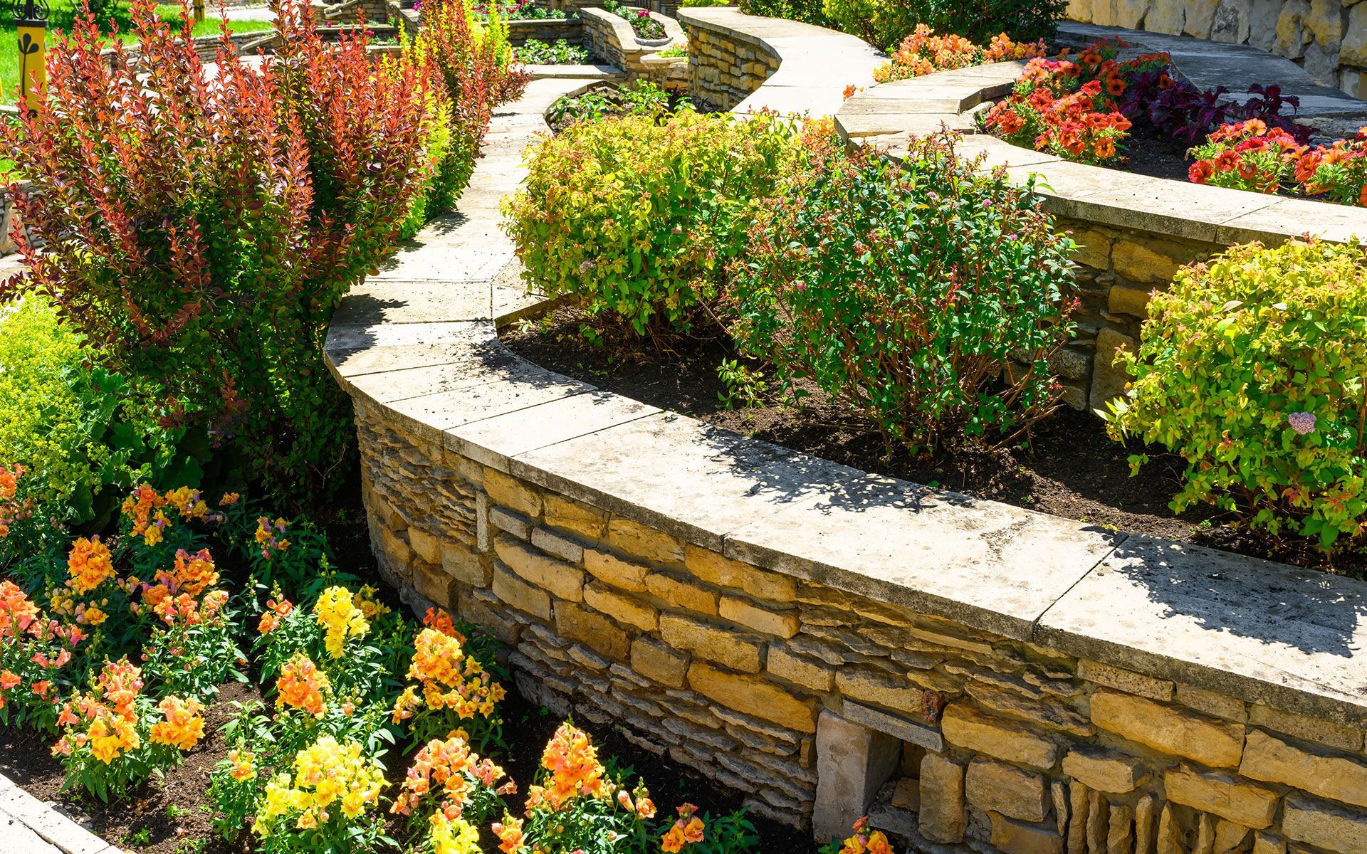 Stone-walled garden beds with colorful flowers and shrubs winding through a sunny outdoor setting.
