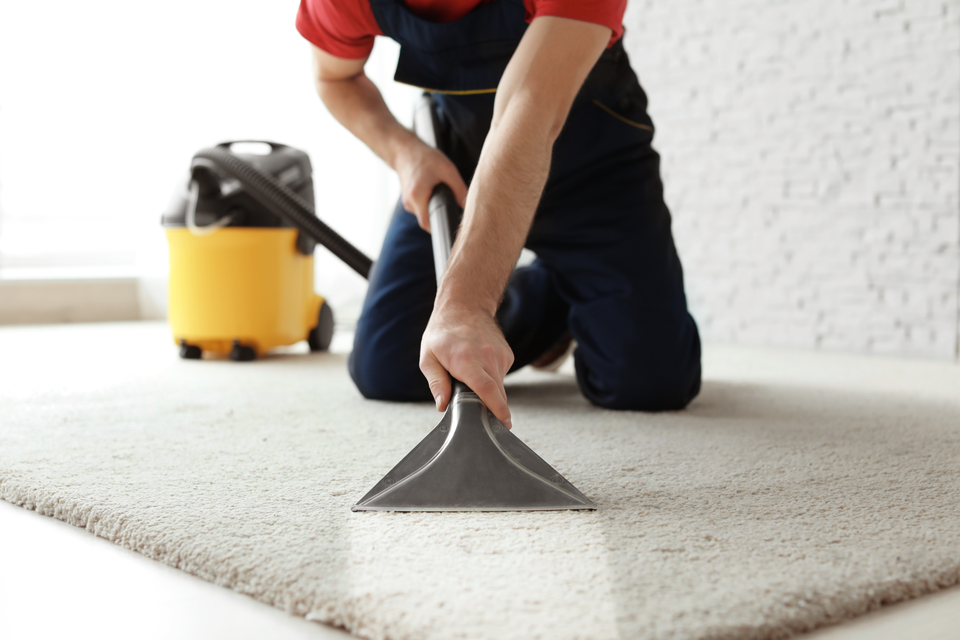 Person cleaning a carpet with a vacuum upholstery tool beside a yellow vacuum canister.