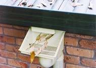 A gutter with leaves coming out of it is attached to a brick wall.