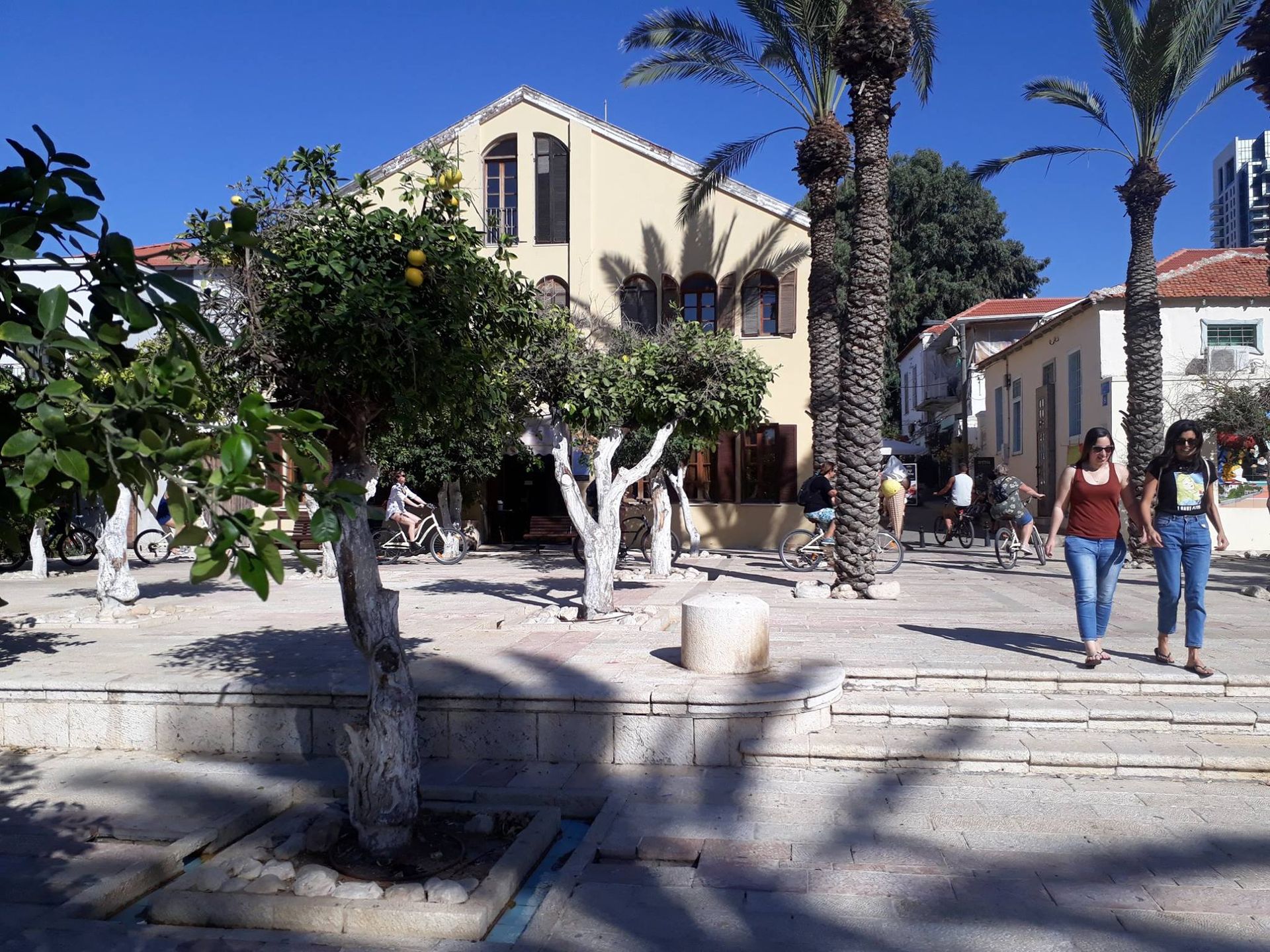 מרכז סוזן דלל