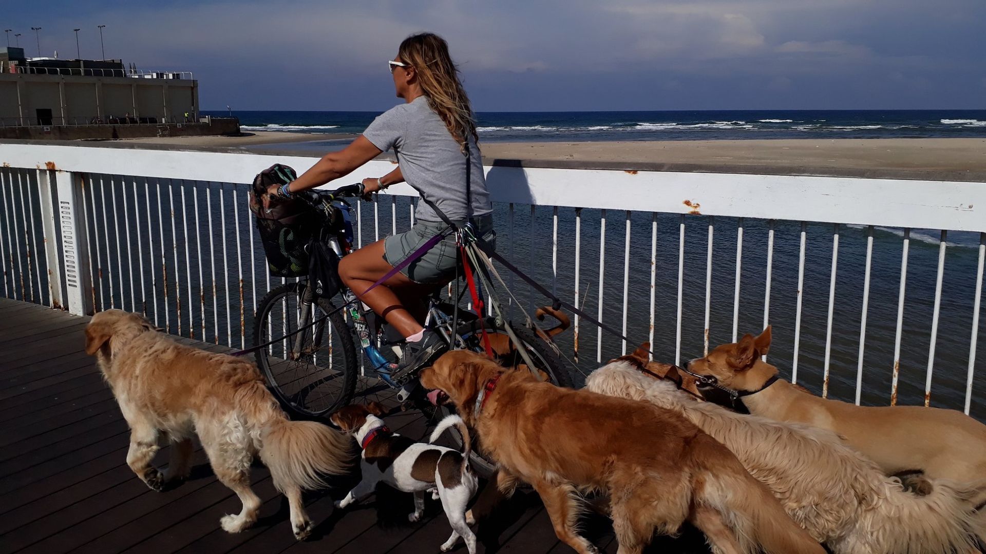 אופניים בתל אביב