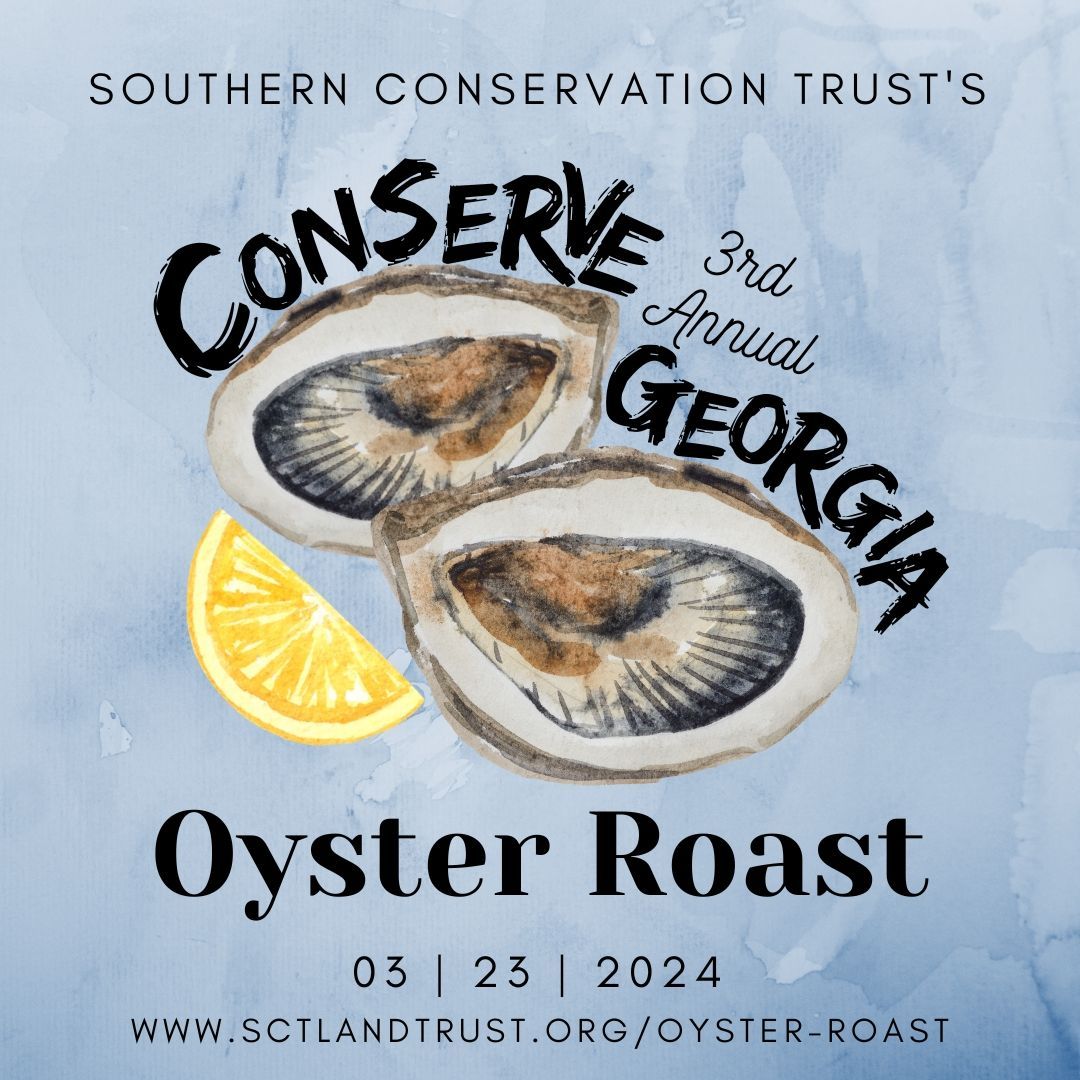 Shuck for a Cause: The Conserve Georgia Oyster Roast aims to celebrate ...
