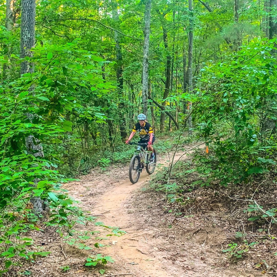 mountain biker on trail