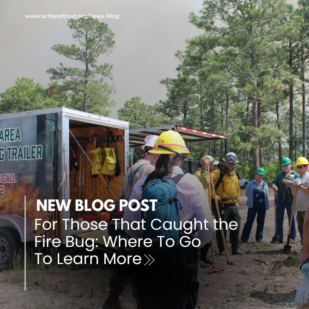 For Those That Caught the Fire Bug
