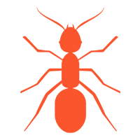 Carpenter Ants — North Fort Myers, FL — My Pest Friend