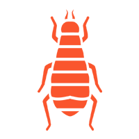 Fleas — North Fort Myers, FL — My Pest Friend Fleas — North Fort Myers, FL — My Pest Friend