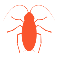 American Roaches — North Fort Myers, FL — My Pest Friend American Roaches — North Fort Myers, FL — My Pest Friend