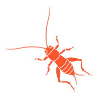 House Crickets — North Fort Myers, FL — My Pest Friend House Crickets — North Fort Myers, FL — My Pest Friend